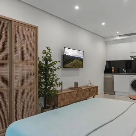 Centrico Estudio En Puerto Banus *