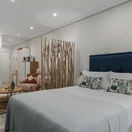 Centrico Estudio En Puerto Banus