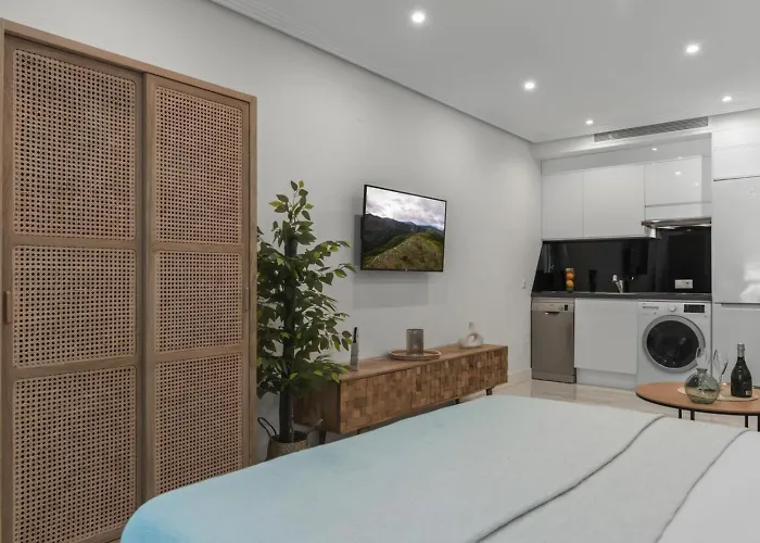 Centrico Estudio En Puerto Banus *